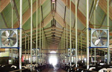 常用的禽舍負壓通風(fēng)方式