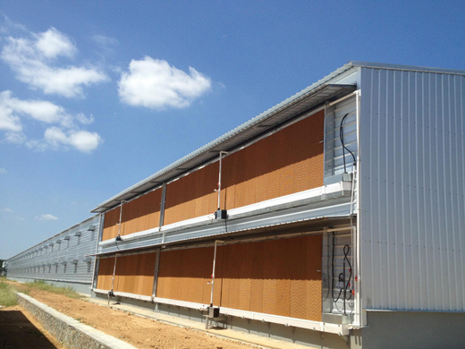 雞舍濕簾 (2).jpg